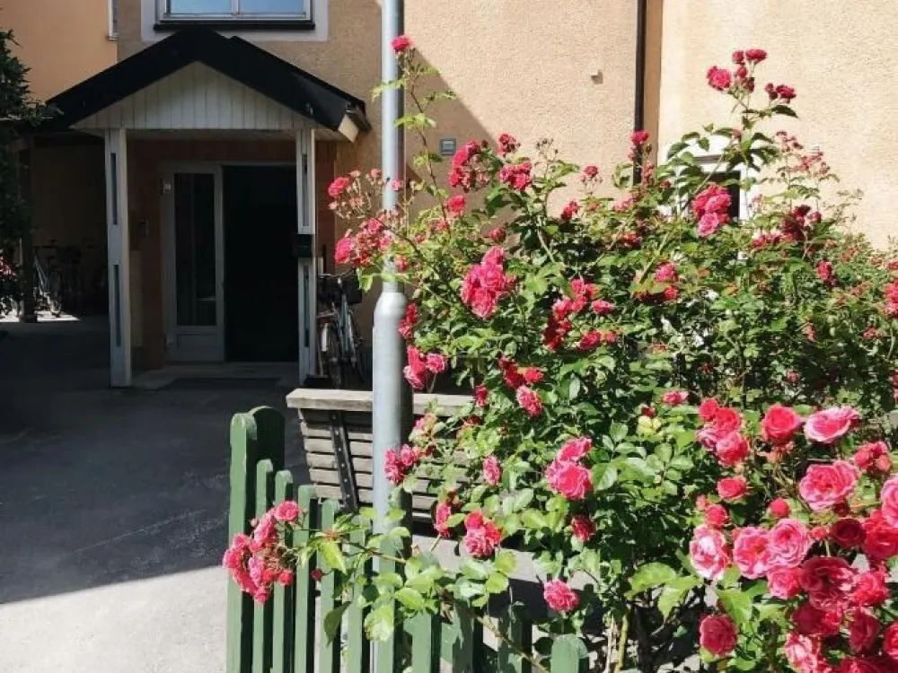 Birkagatan – Visby Apartment Hotel