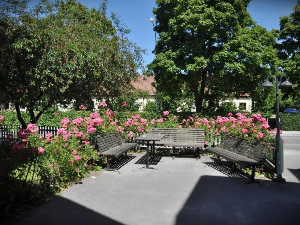 Birkagatan – Visby Apartment Hotel